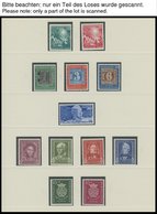 SAMMLUNGEN **, 1949-69, Bis Auf Den Posthornsatz Komplette Postfrische Sammlung Bundesrepublik Im SAFE-dual Album In Pra - Used Stamps