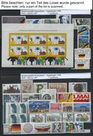 LOTS **, 1987-96, Partie Verschiedener Kompletter Ausgaben Und Blocks, Pracht, Mi. Ca. 900.- - Andere & Zonder Classificatie