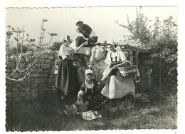 84 PERNES LES FONTAINES COMTADINES COSTUMES DE PAYS FOLKLORE VAUCLUSE - Pernes Les Fontaines