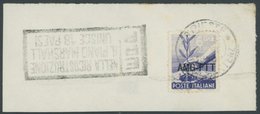 1950, 6 L. Grauviolett Auf Briefstück Mit Kopfstehendem R3 ERP NELLA RICOSTRUZIONE (G11/3 Propaganda-Einsatz), Pracht -> - Sonstige & Ohne Zuordnung