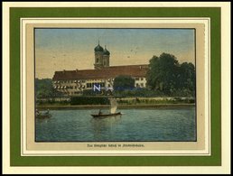 FRIEDRICHSHAFEN: Das Königliche Schloß, Kol. Holzstich Um 1880 - Lithographien