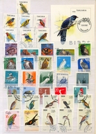 Collection Of 59 Stamps On Topic Bird Duck Parrot Vogel 2 - Collections, Lots & Series