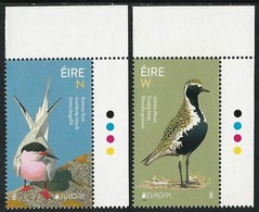 IRLANDA /IRELAND / IRLAND / ÉIRE / EUROPA 2019 -NATIONAL BIRDS.-"AVES - BIRDS - VÖGEL -OISEAUX"- SERIE De 2 V. CH - 2019