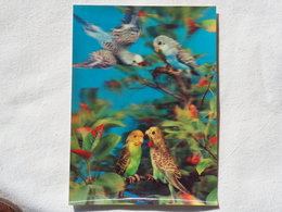 3d 3 D Lenticular Stereo Postcard Parrots   A 187 - Stereoscope Cards