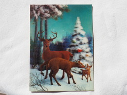 3d 3 D Lenticular Stereo Postcard Deers 1979   A 187 - Cartes Stéréoscopiques