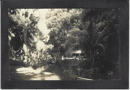 CPA Tahiti Océanie Polynésie Française Non Circulé Carte Photo RPPC - Tahiti