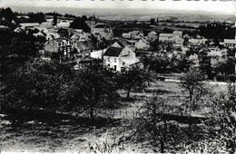 Xhoris Panorama éditions A. Smetz Saint Servais ( Namur ) édit Maison Pirotton Droguerie - Ferrieres