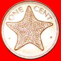 + STARFISH (1985-2004): THE BAHAMAS ★ 1 CENT 1987 MINT LUSTER! LOW START ★ NO RESERVE! - Bahamas