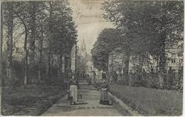 Temsche   -    Zicht Op De Kasteelstraat.  -  1906   Naar   Zele - Temse