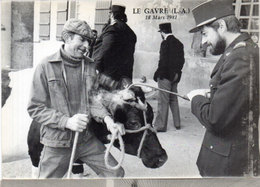 LE GAVRE - 18 Mars 1981   - Evénements - Marquage Des Betes A Cornes  (113264) - Le Gavre