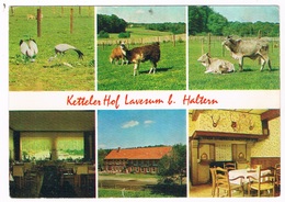 D-9330   LAVESUM / HALTERN : Ketler Hof - Recklinghausen