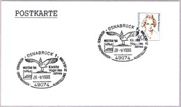 AVEFRIA - NORTHEN LAPWING - KIEBITZ - Vanellus Vanellus. Osnabruck 1996 - Afstempelingen & Vlagstempels