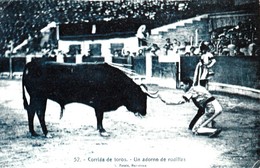 CORRIDA DE TOROS   - Un Adorno De Rodillas - Corridas