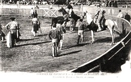 COURSES DE TAUREAUX - Travail Des Picadors. - Corridas