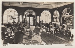 Postcard The Winter Gardens The Cairn Harrogate RP By Lilywhite PU 1932 My Ref  B13122 - Harrogate