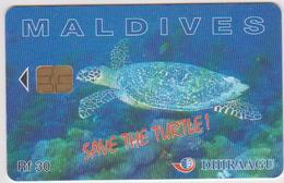 MALDIVES - TURTLE - 227MLDG - Maldivas