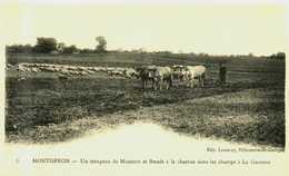 91....essonne...montgeron...la Charrue Dans Les Champs...la Garenne - Montgeron