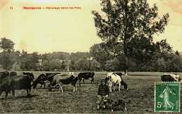 91....essonne...montgeron...paturage Dans Les Prés - Montgeron