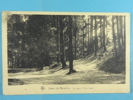 Camp De Beverloo Vue Dans Le Parc Royal - Leopoldsburg (Camp De Beverloo)