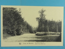 Camp De Beverloo Vue Dans Le Faux Parc - Leopoldsburg (Kamp Van Beverloo)