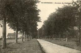 - St GEORGES Sur Bauche - CP Rare:  L'avenue Du Château  -20048- - Saint Georges Sur Baulche