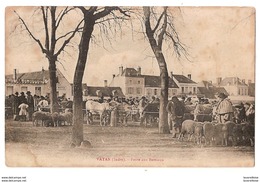 CPA 36 VATAN FOIRE AUX BESTIAUX RARE BELLE CARTE  !! - Autres & Non Classés