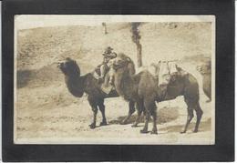 CPA CHINE China Asie Circulé Carte Photo RPPC - Cina (Hong Kong)