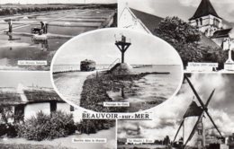 Beauvoir Sur Mer : Vues Diverses - Beauvoir Sur Mer
