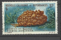 Calédonie Poste Aérienne N° 78  Phyllo Branchus  Oblitéré  B/TB       ..    - Used Stamps
