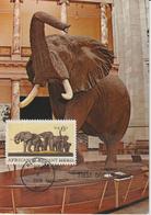 Etats-Unis Carte Maximum Animaux 1970 Eléphants 891 - Cartes-Maximum (CM)