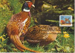 Etats-Unis Carte Maximum Oiseaux 1988 Faisan 1809 - Cartoline Maximum