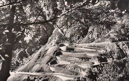 Cp , 65 , VALLÉE D'AURE , Route De Cap De Long, Les Lacets D'Orédon - Vielle Aure