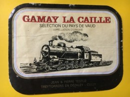 9191 - Locomotive à Vapeur Gamay La Caille Suisse - Treinen