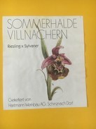 5507 -  Sommerhalde Villnachern Riesling X Sylvaner Suisse - Fleurs