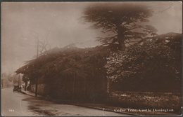 Cedar Tree, Castle Donington, Leicestershire, C.1910s - Scarratt RP Postcard - Otros & Sin Clasificación