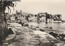 Delcampe - Haute Corse 2B : BASTIA : - Les Quais Dallés Du Vieux Port  - ( C.p.s.m. Photo Vérit. Grand Format ) - Bastia