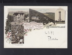 Baden Litho-AK Gruß Vom Wiedenfelsen Luftkurhotel Um 1897 - Bühlertal