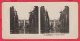 240890 / Stereoscope Card - Saint Petersburg - LA FONTAINE DE PETERHOF , Russia Russie Russland Rusland - Cartes Stéréoscopiques