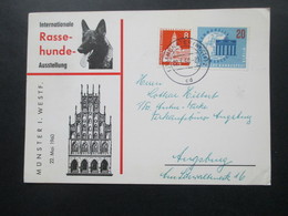 Sonderkarte Internationale Rasse Hunde Ausstellung Münster Westfalen Mit Berlin Marken! Nach Ausgburg Gesendet / Bedarf - Brieven En Documenten