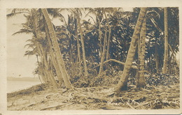 Real Photo Coco Palmes St Croix P. Used  St John Antigua On Leeward Islands Stamp - Jungferninseln, Amerik.