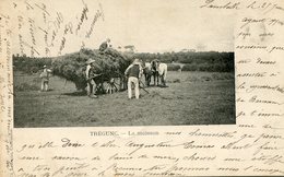 TREGUNC ****  LA MOISSON EN 1902  **** - Trégunc