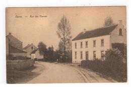 Kanne Canne - Rue Des Pierres 1929 - Riemst