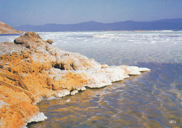 Afrique De L'est,DJIBOUTI ,au Bord De La Mer Rouge,prés Somalie,ethiopie,ASSAL - Gibuti