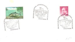 MATASELLOS 1997 LA ESTRADA - Storia Postale