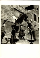 CP Gymnastique Sauvage - Robert Doisneau - Doisneau