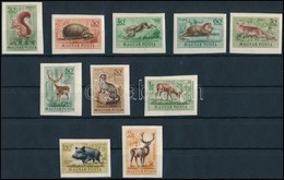 * 1953 Erdei állatok Vágott Sor (15.000) - Andere & Zonder Classificatie