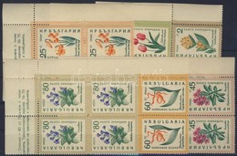 ** 1960 Virágok Mi 1164-1169 ívsarki Négyes Tömbökben - Autres & Non Classés
