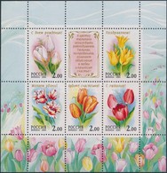 ** 2001 Virág; Tulipán Blokk Mi 36 - Autres & Non Classés