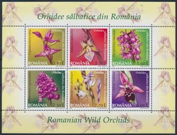 ** 2007 Orchideák Blokk Mi 394 - Andere & Zonder Classificatie