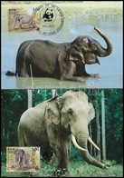 1986 WWF: Elefántok Sor 4 Db CM-en Mi 753-756 - Autres & Non Classés